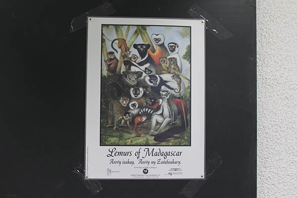 Festival Mondial des Lémuriens 2015