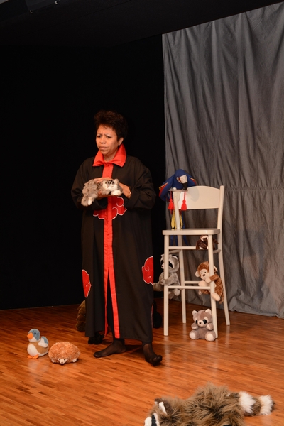 KO Meyrin 2014